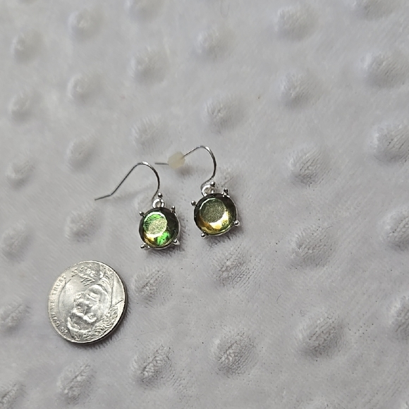 Reflective Green Earrings - Picture 1 of 3